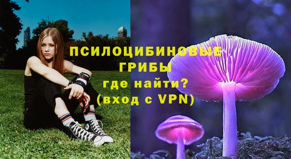 каннабис Надым