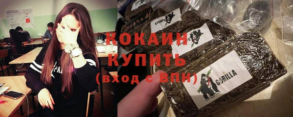 дурь Нея