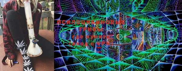 дурь Нея