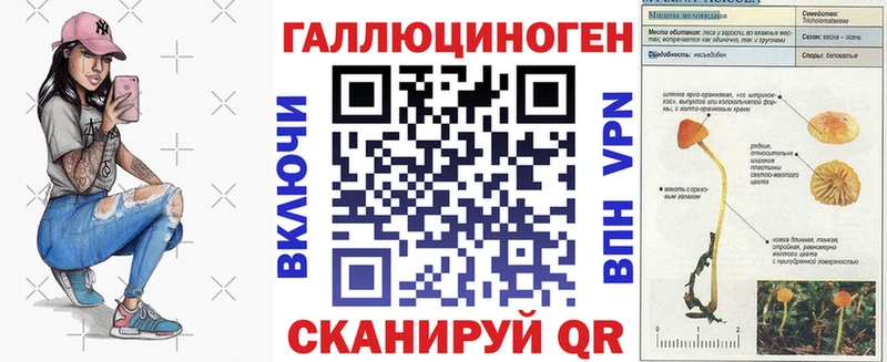 купить закладку  Михайловск  Псилоцибиновые грибы Cubensis 