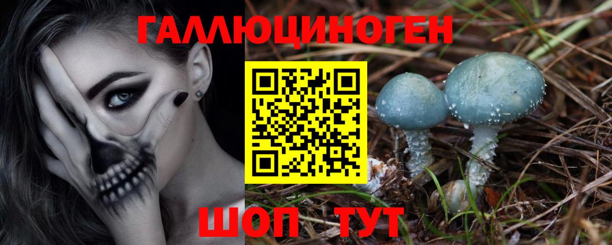 Михайловск  Псилоцибиновые грибы MAGIC MUSHROOMS  Псилоцибиновые грибы мицелий  Вход с VPN 